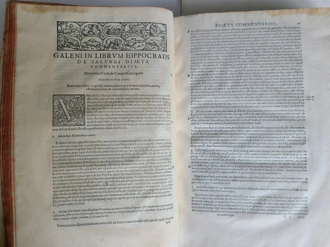 1586 RENAISSANCE EDITION OF GALEN antique FOLIO 16th century FAMOUS MEDICAL WORK - 12