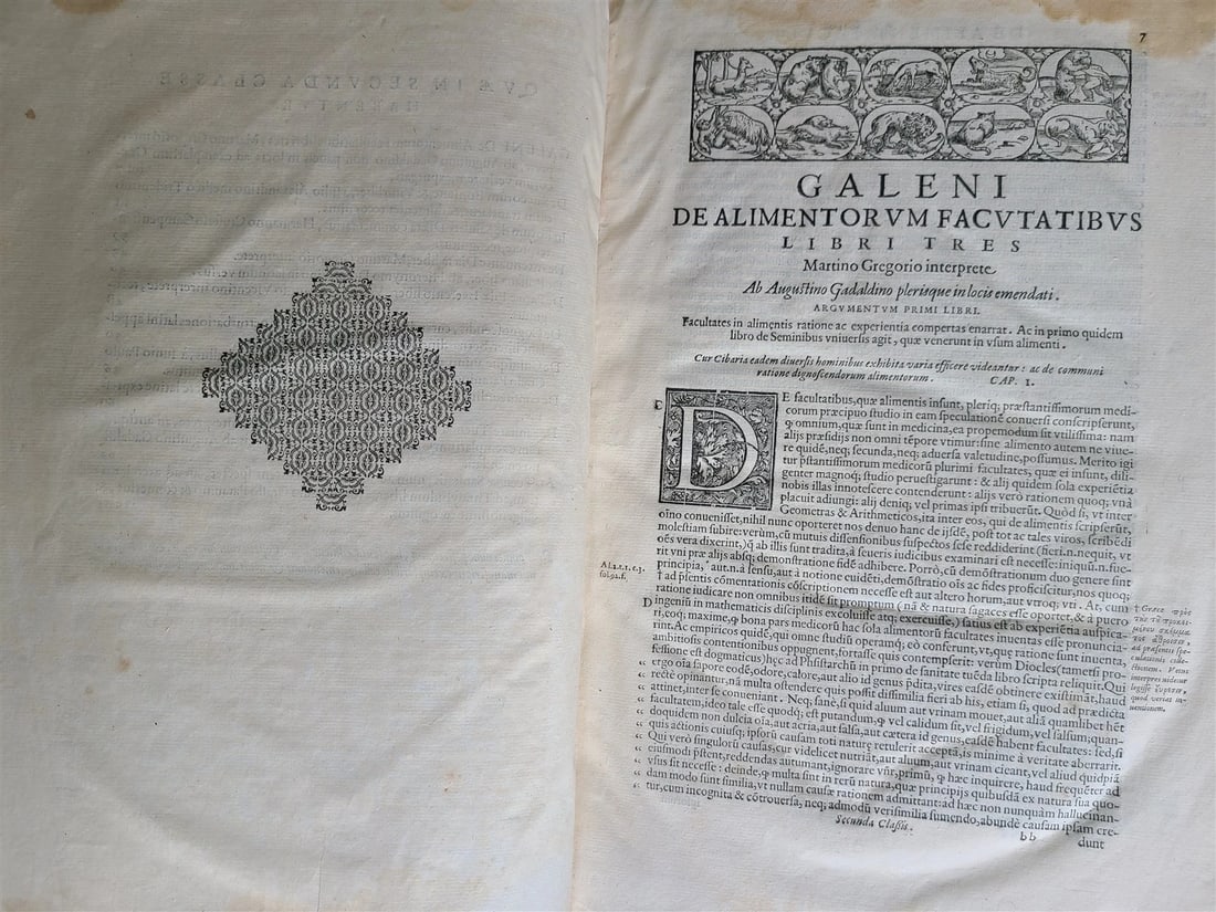 1586 RENAISSANCE EDITION OF GALEN antique FOLIO 16th century FAMOUS MEDICAL WORK - 7