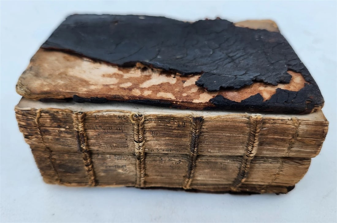 16th century BIBLE in LATIN ILLUSTRATED antique pocket size NEW TESTAMENT - 2