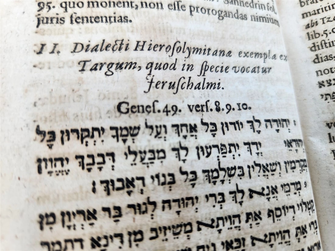1650 Grammaticae Chaldaicae et Syriacæ by BUXTORF antique Judaica VELLUM BOUND - 5