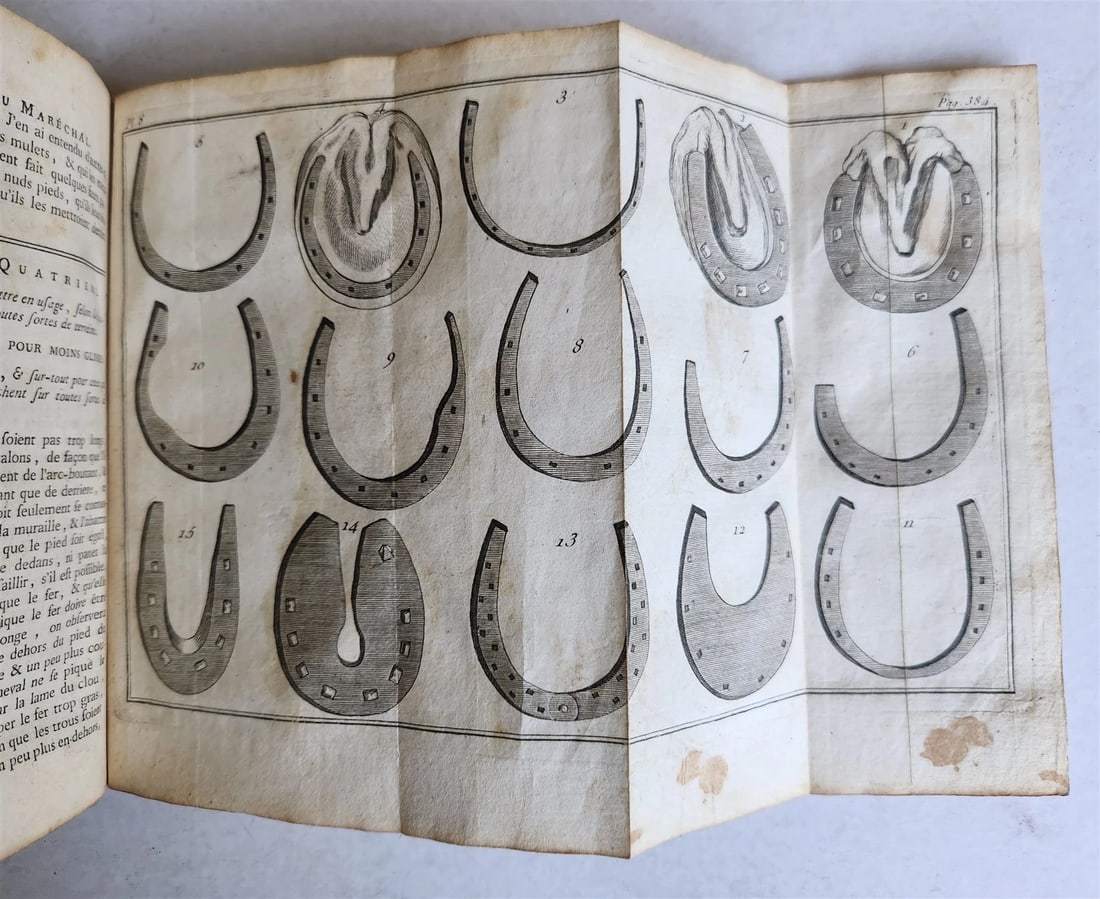 1792 HORSE ANATOMY VETERINARY TREATISE ILLUSTRATED w/ 9 WOODCUTS antique - 12