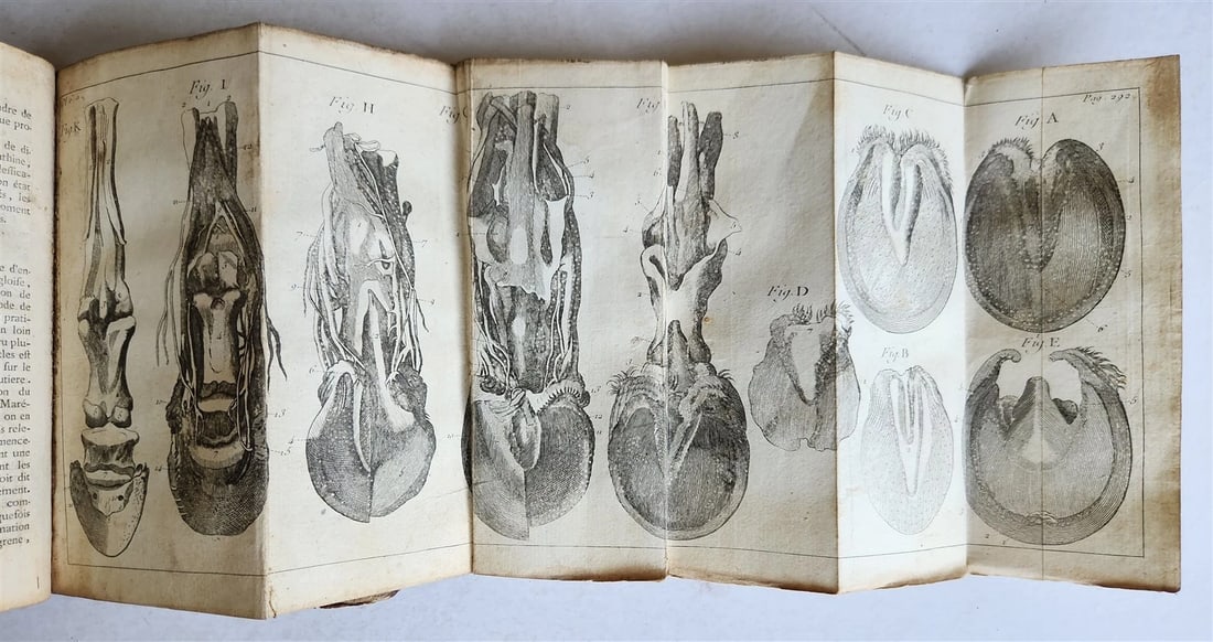 1792 HORSE ANATOMY VETERINARY TREATISE ILLUSTRATED w/ 9 WOODCUTS antique - 9