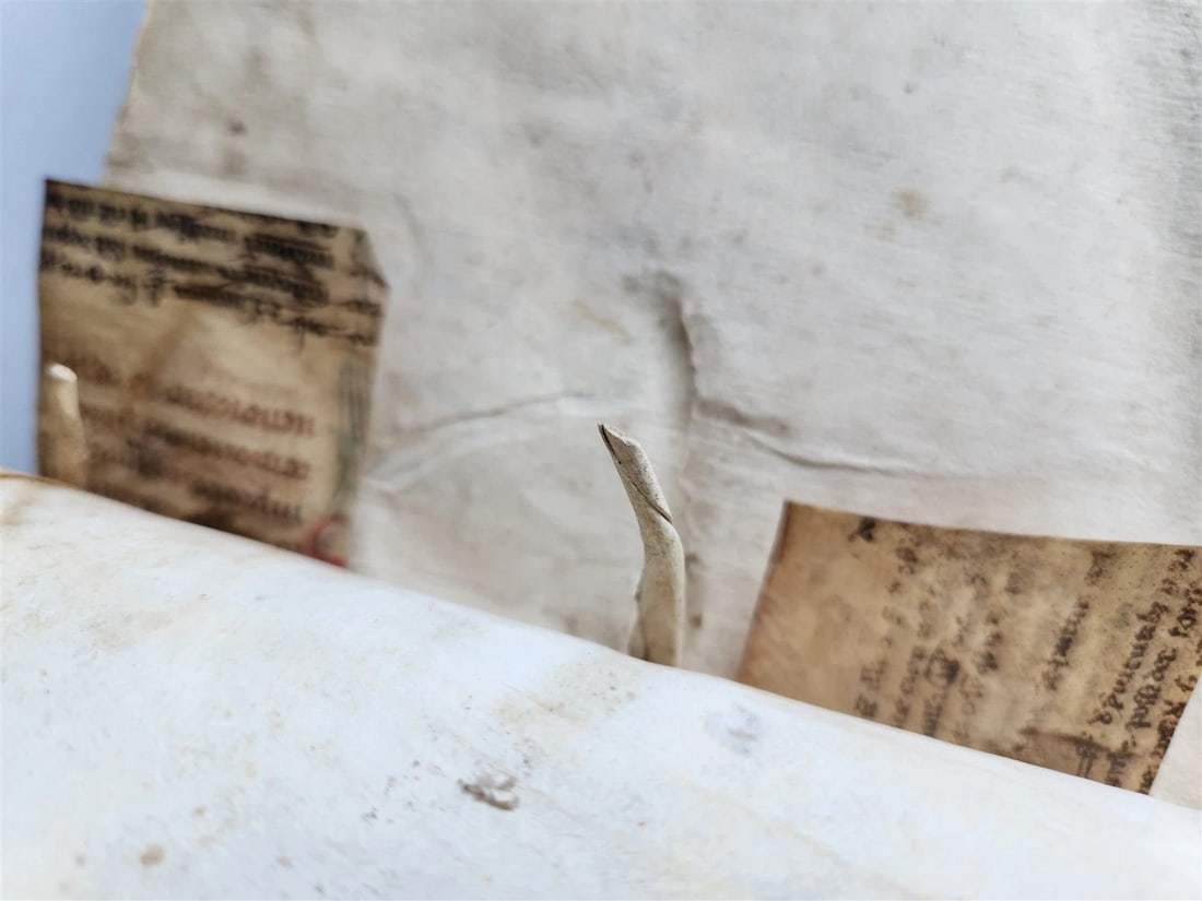 1567 CANON LAW antique 16th CENTURY FOLIO vellum binding Decisiones Canonicae - 5