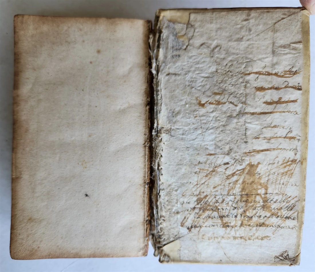 1672 BIBLE in ENGLISH antique 17th CENTURY vellum binding - 6