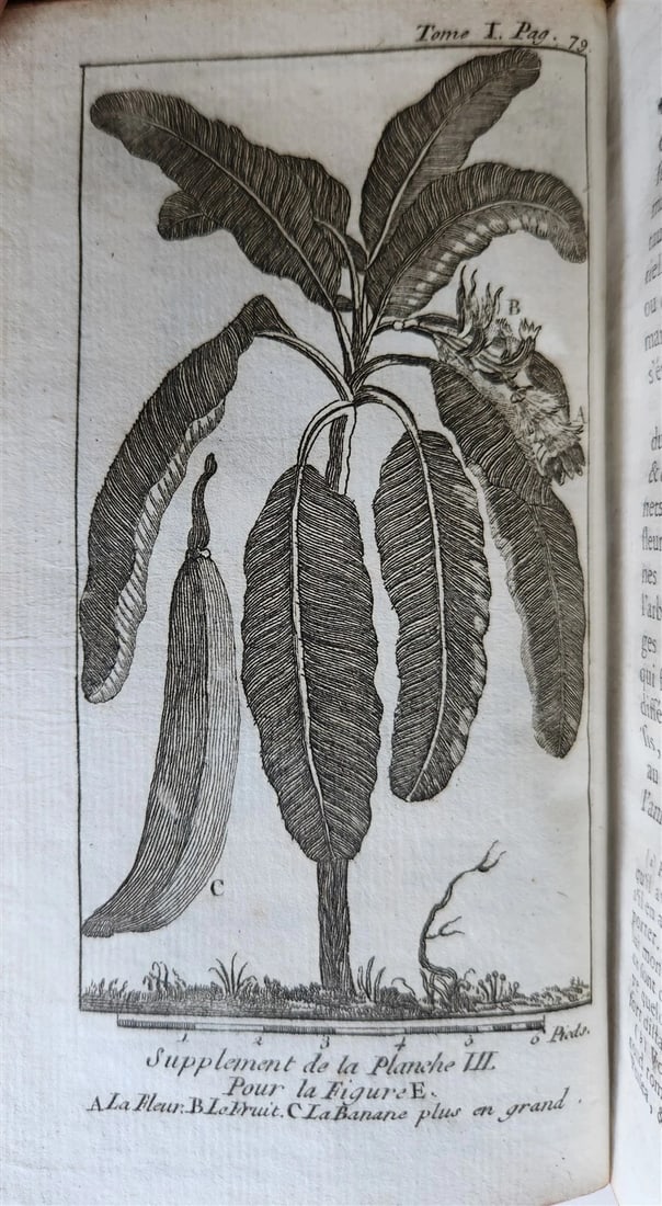 1765 OCCULT illustrated ORIGIN of IDOLATRY ANCIENT MYTHS BELIEFS antique 2 VOLS - 10