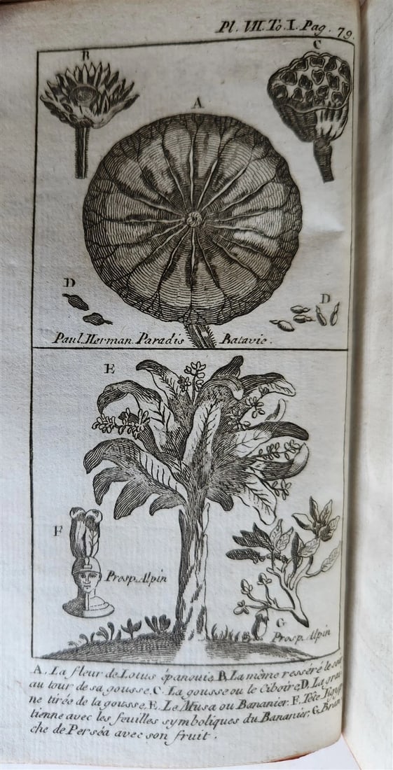 1765 OCCULT illustrated ORIGIN of IDOLATRY ANCIENT MYTHS BELIEFS antique 2 VOLS - 9