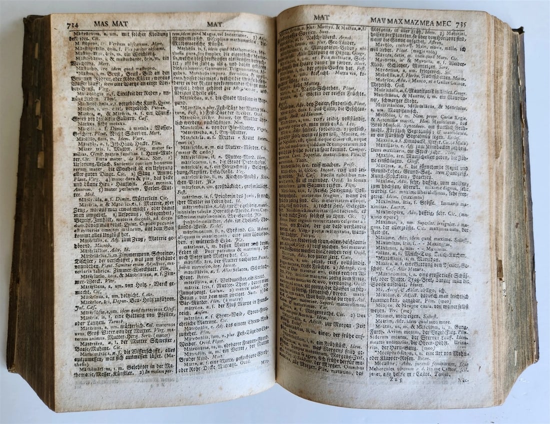 1741 LATIN GERMAN DICTIONARY incl. ANCIENT & MEDIEVAL antique PIGSKIN BINDING - 10