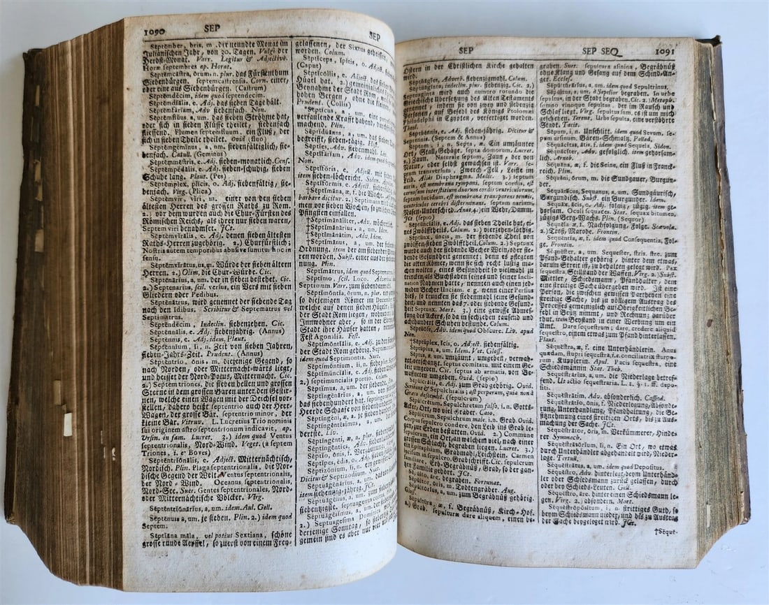 1741 LATIN GERMAN DICTIONARY incl. ANCIENT & MEDIEVAL antique PIGSKIN BINDING - 12