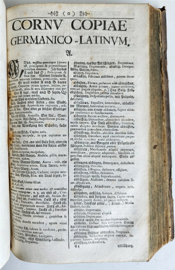 1741 LATIN GERMAN DICTIONARY incl. ANCIENT & MEDIEVAL antique PIGSKIN BINDING - 14