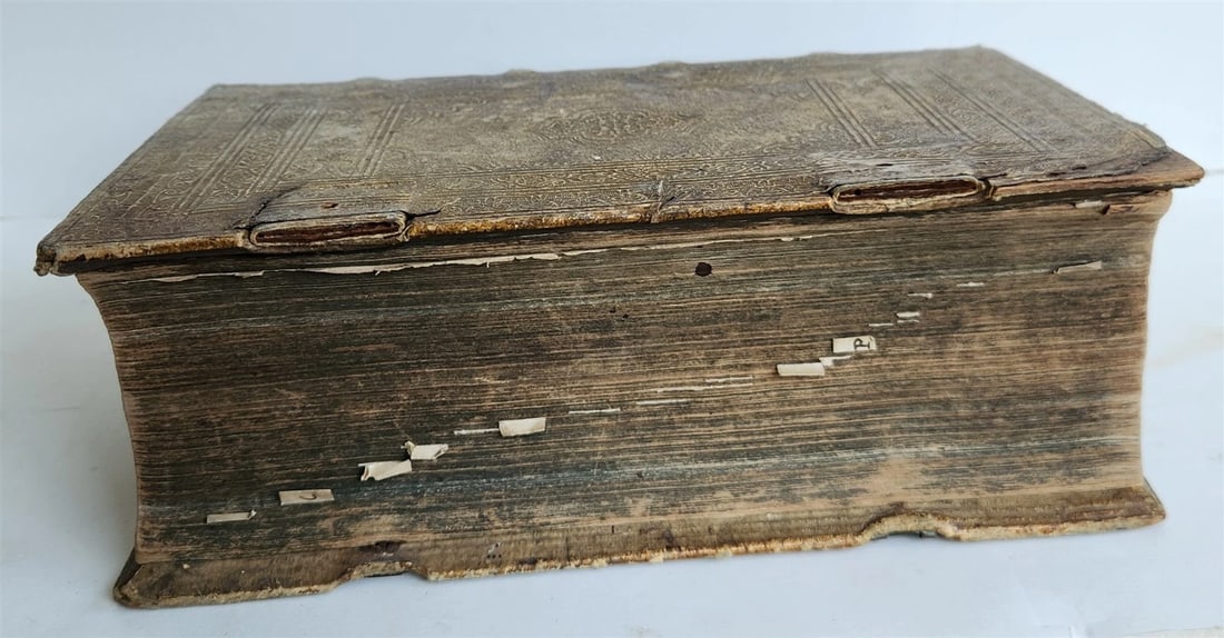 1741 LATIN GERMAN DICTIONARY incl. ANCIENT & MEDIEVAL antique PIGSKIN BINDING - 3