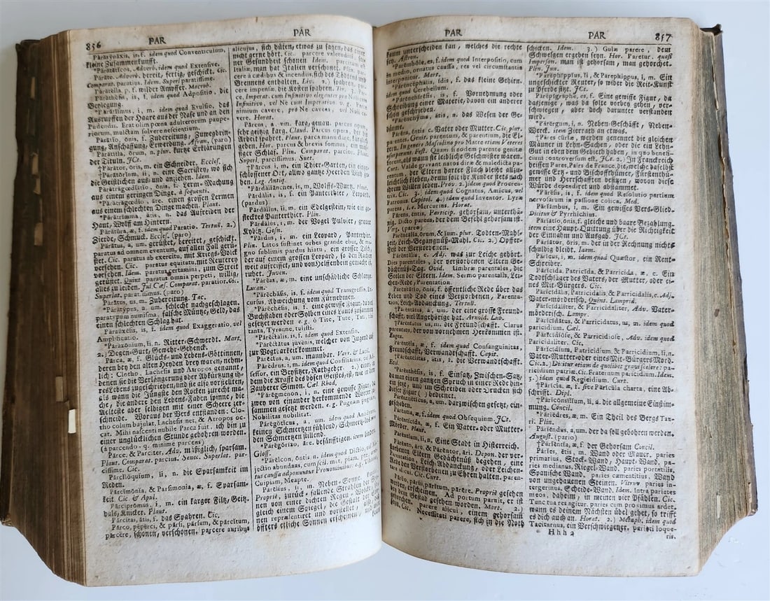 1741 LATIN GERMAN DICTIONARY incl. ANCIENT & MEDIEVAL antique PIGSKIN BINDING - 9