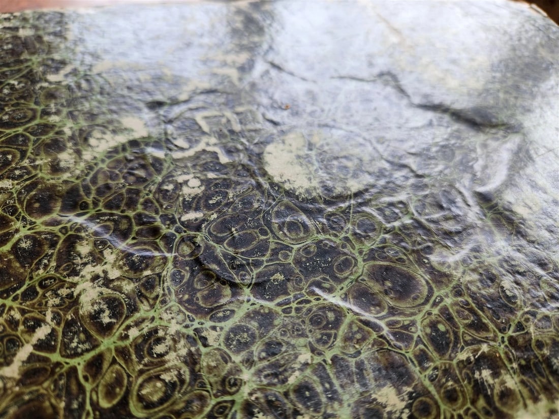 1606 HOMER ILLIAD & ODYSSEY antique in LATIN & GREEK early 17th CENTURY FOLIO - 6