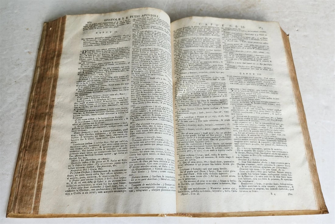 1743 BIBLE COMMENTARY Joannis Stephani Menochius LATIN VELLUM FOLIO antique v.2 - 6