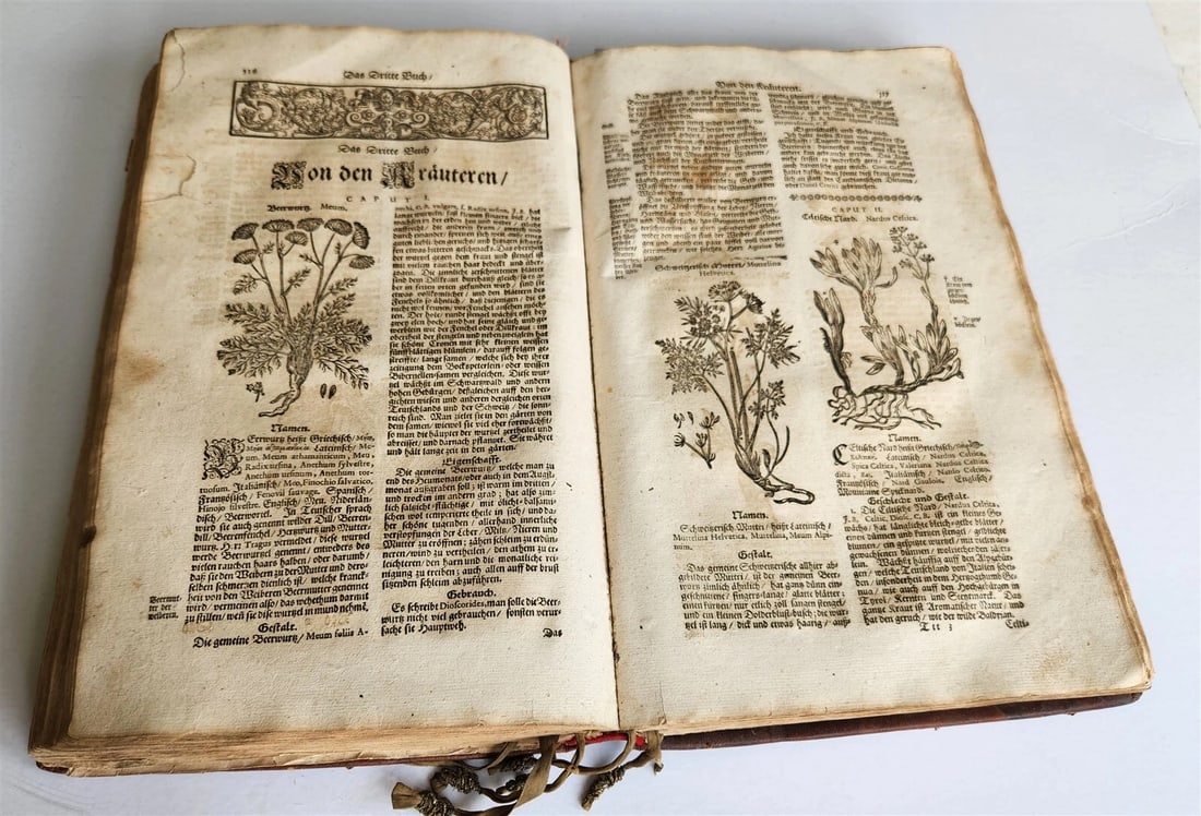 1696 THEATRUM BOTANICUM by Theodor ZWINGER antique ILLUSTRATED FOLIO in GERMAN - 10
