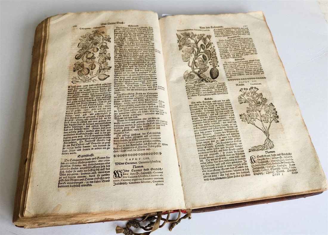 1696 THEATRUM BOTANICUM by Theodor ZWINGER antique ILLUSTRATED FOLIO in GERMAN - 12
