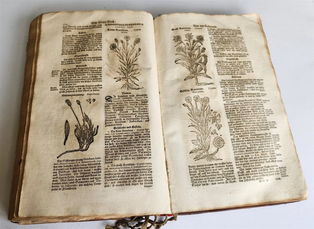 1696 THEATRUM BOTANICUM by Theodor ZWINGER antique ILLUSTRATED FOLIO in GERMAN - 13