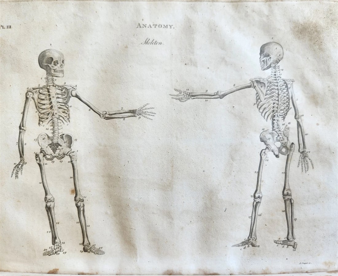 1822 NEW and COMPLETE DICTIONARY of ARTS and SCIENCES 3 VOLS. antique by GREGORY - 4