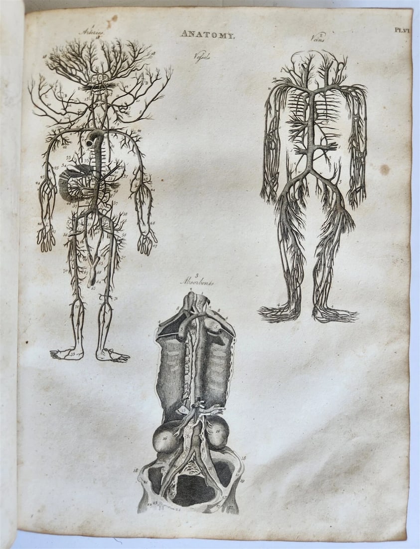 1822 NEW and COMPLETE DICTIONARY of ARTS and SCIENCES 3 VOLS. antique by GREGORY - 5