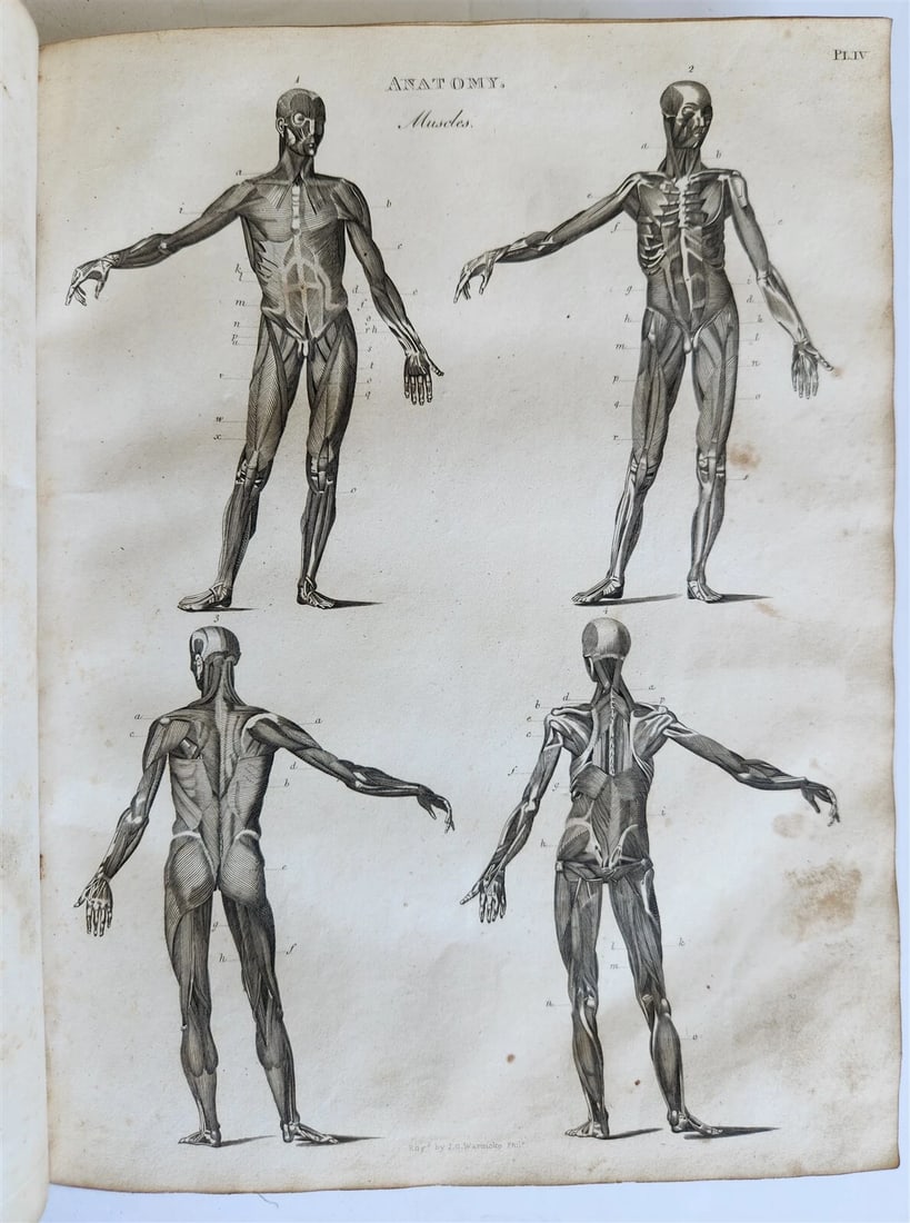 1822 NEW and COMPLETE DICTIONARY of ARTS and SCIENCES 3 VOLS. antique by GREGORY - 6