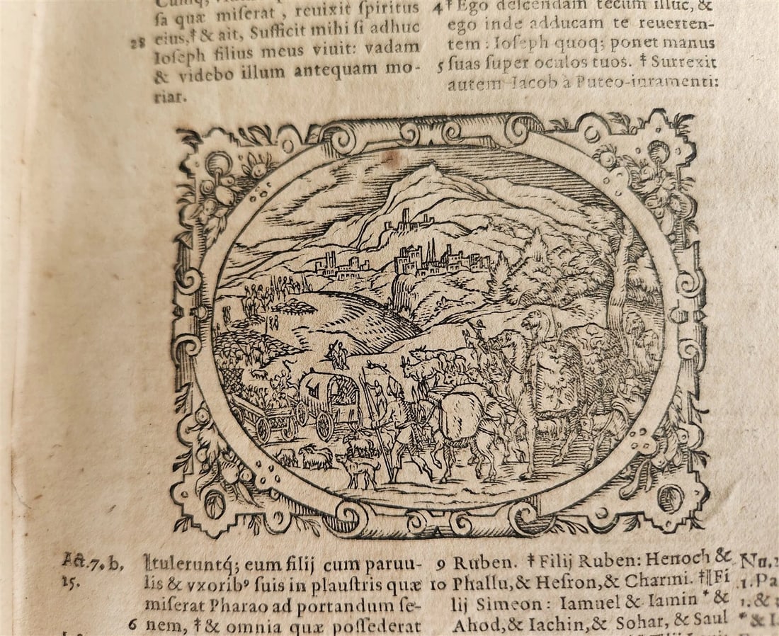 1571 BIBLE in LATIN ILLUSTRATED w/ 135 WOODCUTS antique PIGSKIN w/ METAL CORNERS - 9