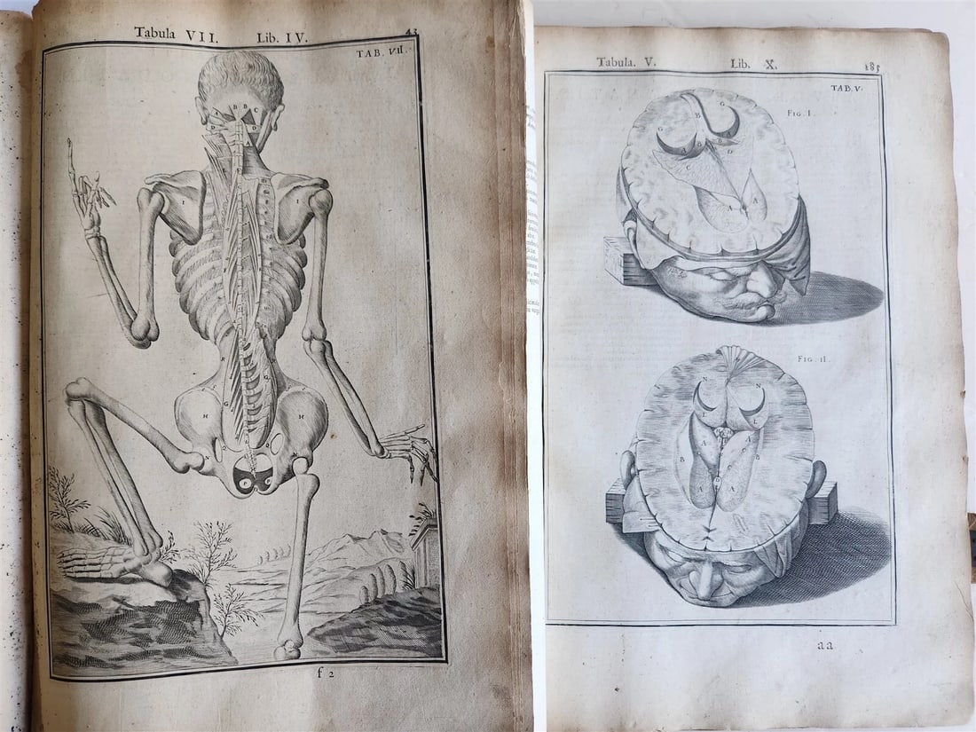 1645 ANATOMY TREATISE Adrian Spigelius 176 ENGRAVINGS ILLUSTRATED FOLIO antique - 10