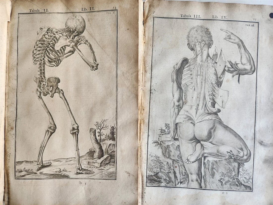 1645 ANATOMY TREATISE Adrian Spigelius 176 ENGRAVINGS ILLUSTRATED FOLIO antique - 14