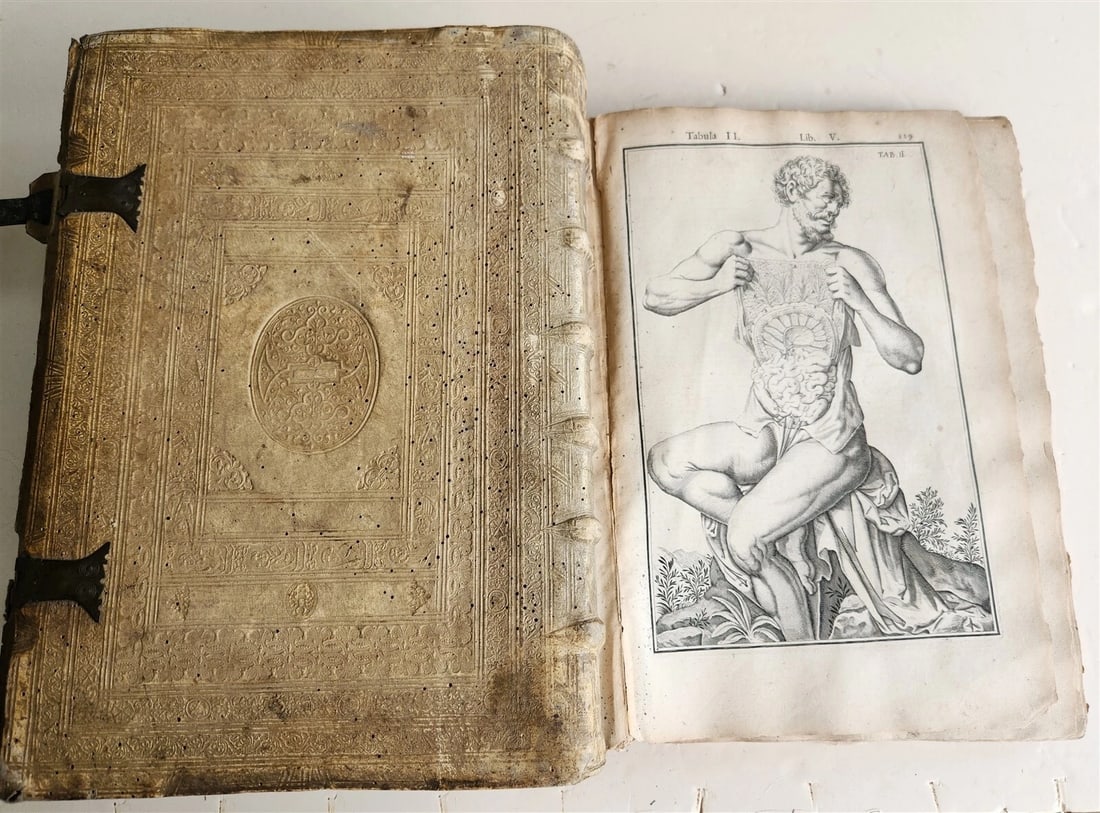1645 ANATOMY TREATISE Adrian Spigelius 176 ENGRAVINGS ILLUSTRATED FOLIO antique - 3