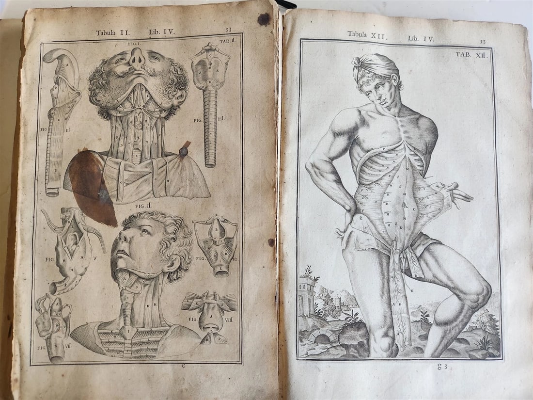 1645 ANATOMY TREATISE Adrian Spigelius 176 ENGRAVINGS ILLUSTRATED FOLIO antique - 4