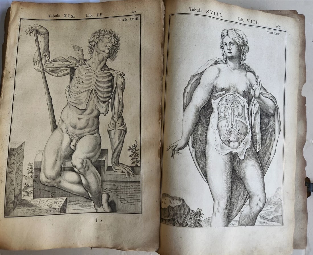 1645 ANATOMY TREATISE Adrian Spigelius 176 ENGRAVINGS ILLUSTRATED FOLIO antique - 7