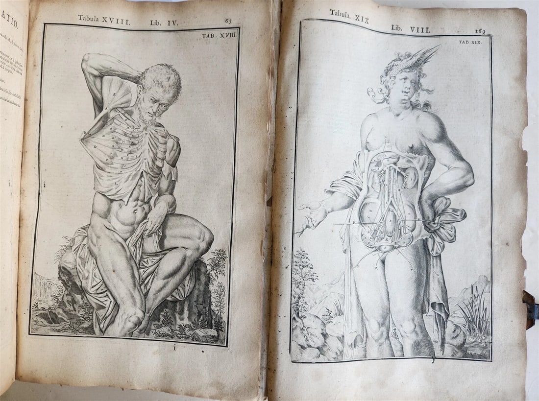 1645 ANATOMY TREATISE Adrian Spigelius 176 ENGRAVINGS ILLUSTRATED FOLIO antique - 8
