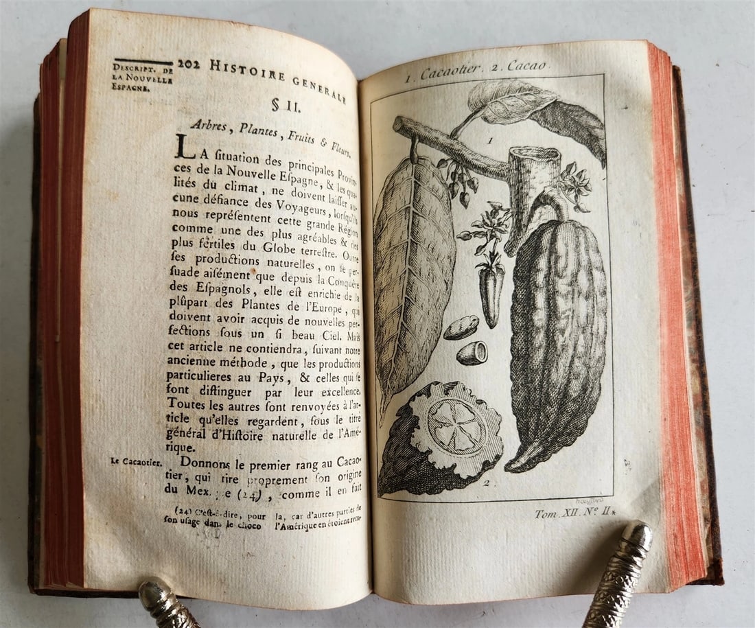 1754 HISTOIRE des VOYAGES illustrated MEXICO TRAVELS vol. 48 antique - 11