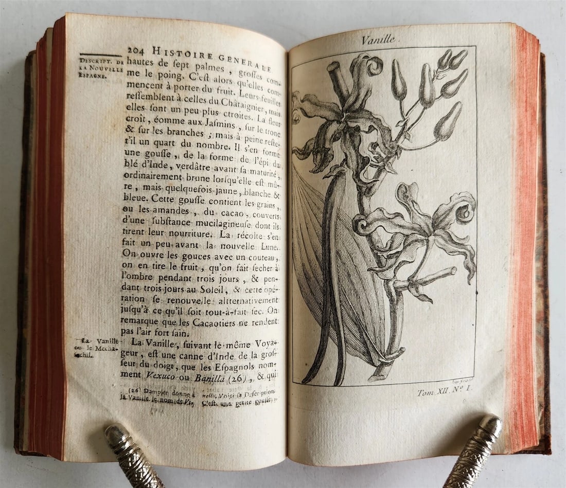 1754 HISTOIRE des VOYAGES illustrated MEXICO TRAVELS vol. 48 antique - 12