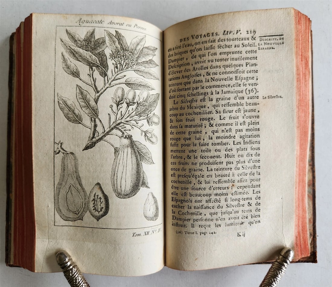 1754 HISTOIRE des VOYAGES illustrated MEXICO TRAVELS vol. 48 antique - 13