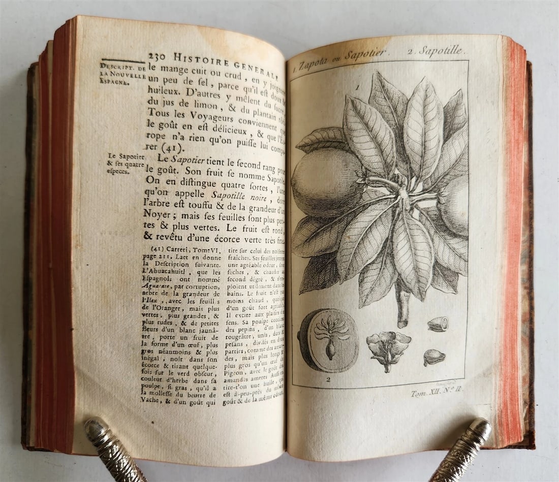 1754 HISTOIRE des VOYAGES illustrated MEXICO TRAVELS vol. 48 antique - 14