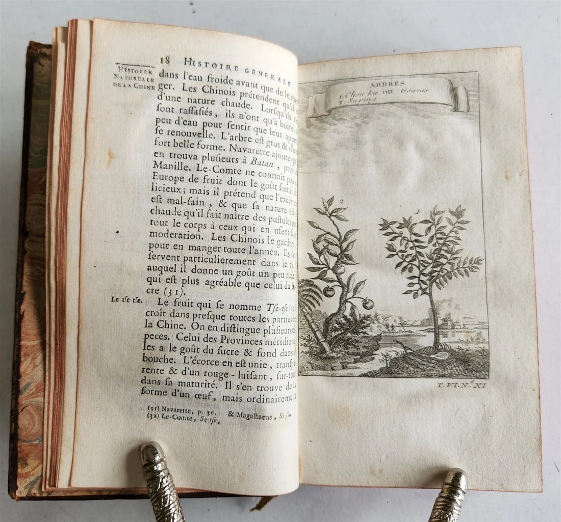 1749 HISTOIRE des VOYAGES illustrated v.24 CHINA NATURAL HISTORY TRAVELS antique - 5
