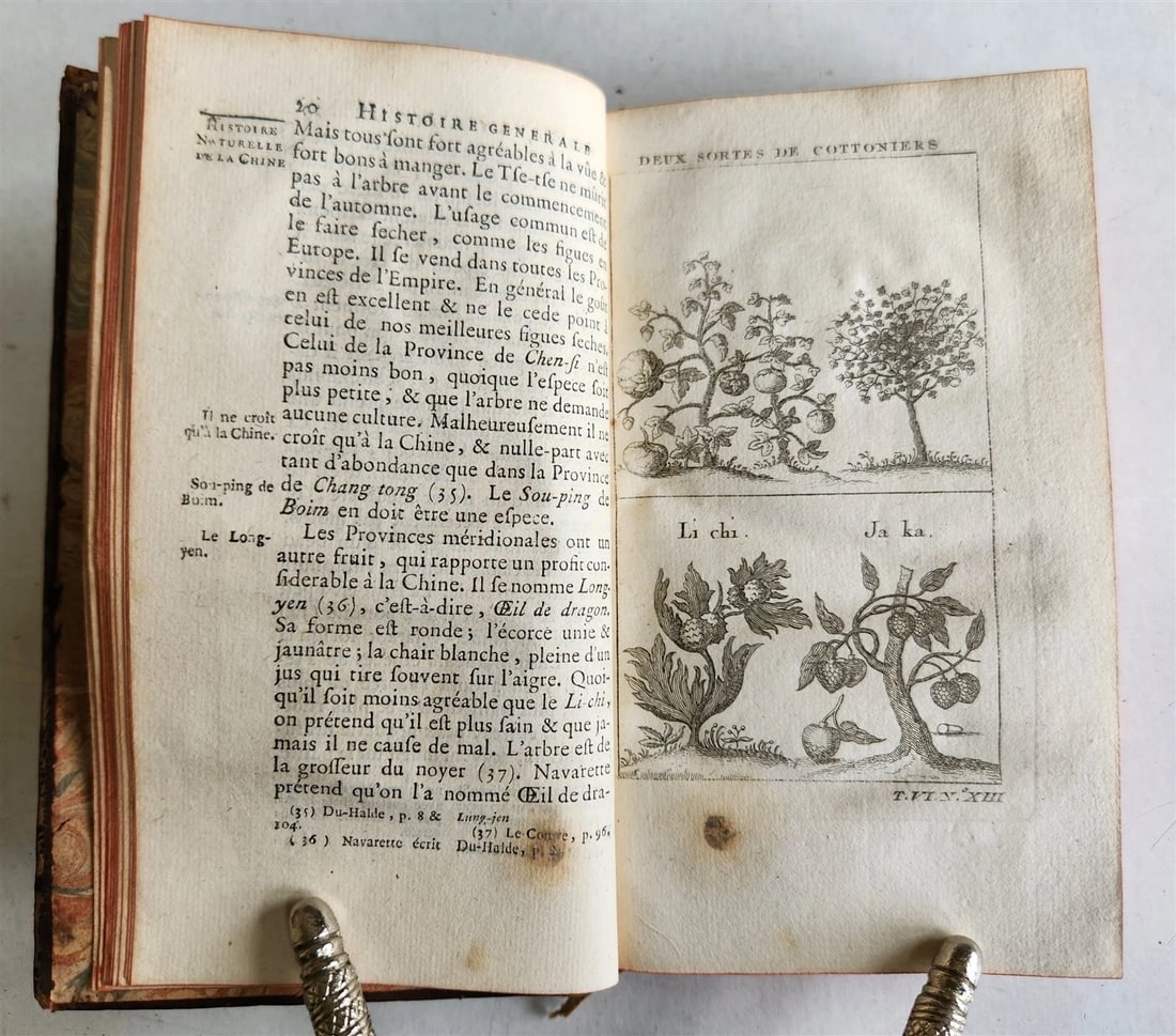 1749 HISTOIRE des VOYAGES illustrated v.24 CHINA NATURAL HISTORY TRAVELS antique - 7