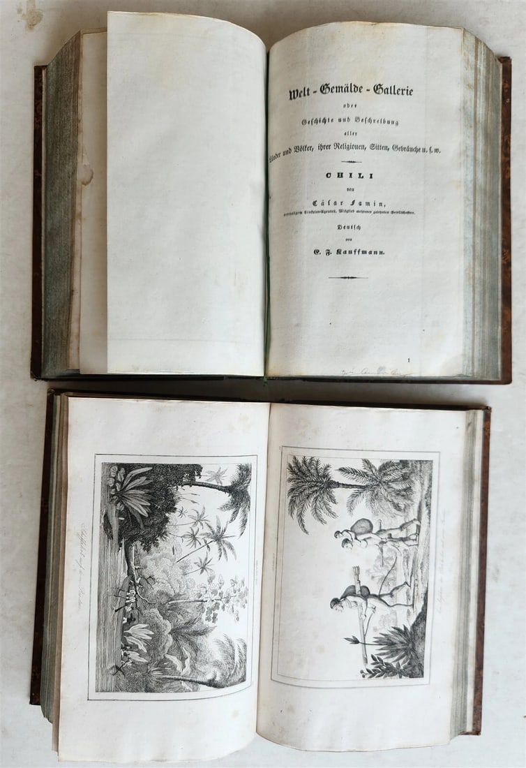 1838 ILLUSTRATED HISTORY of NORTH AMERICA Brazil Columbia & Gyana antique - 5