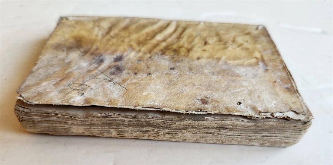 1576 CICERO Rhetoricorum ad Herennium antique 16th CENTURY vellum binding - 3