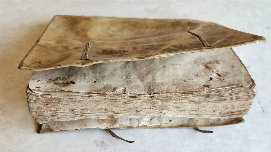 1596 HISTORICAL DESCRIPTION SHORT CHRONICLE of DOMINICAN ORDER antique VELLUM - 3