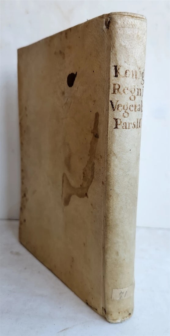 1696 PLANTARUM REGNI VEGETABILIS antique VELLUM VEGETABLE KINGDOM PLANTS - 2