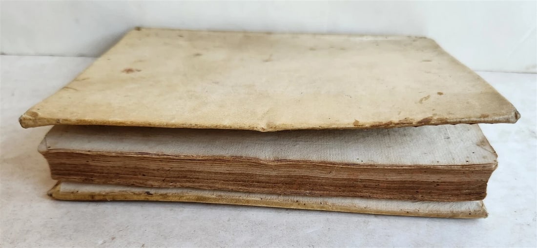 1696 PLANTARUM REGNI VEGETABILIS antique VELLUM VEGETABLE KINGDOM PLANTS - 3