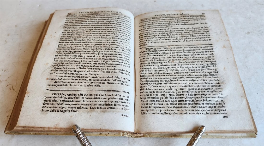 1696 PLANTARUM REGNI VEGETABILIS antique VELLUM VEGETABLE KINGDOM PLANTS - 8