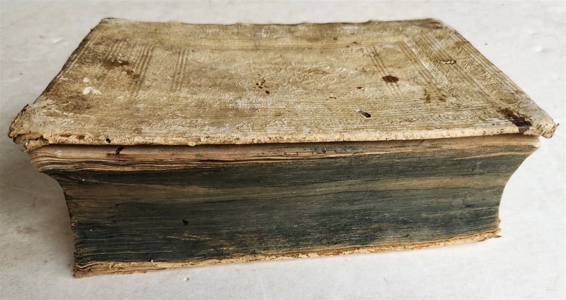 1595 LAW BOOK by Spanish jurist Vasquez de Menchaca antique PIGSKIN BINDING - 6