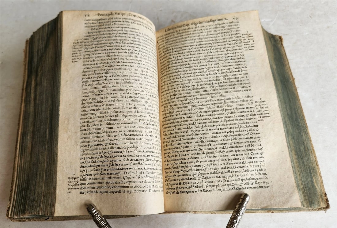 1595 LAW BOOK by Spanish jurist Vasquez de Menchaca antique PIGSKIN BINDING - 9