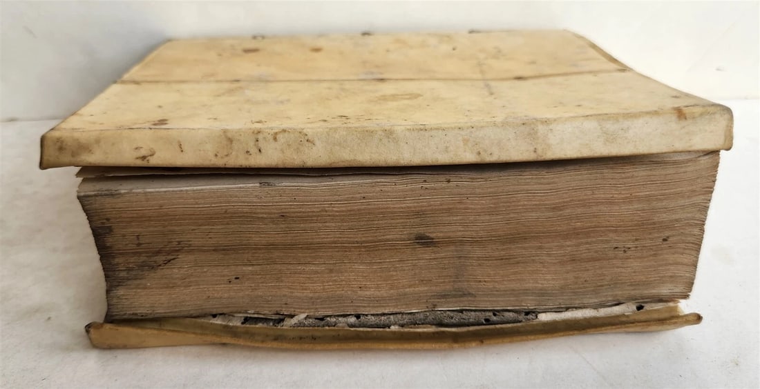 1656 ANTI-BARBARUS BIBLICUS antique VELLUM BINDING - 3