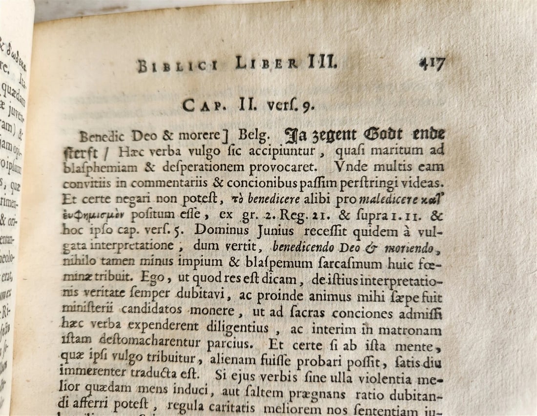 1656 ANTI-BARBARUS BIBLICUS antique VELLUM BINDING - 8