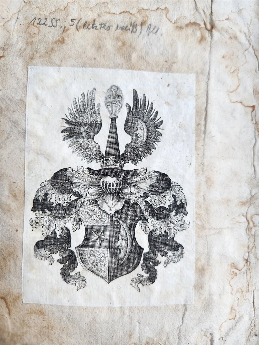 1539 PLATONIC PHILOSOPHY on MEDICINE of BEASTS CATTLE & BIRDS antique 16th CENT. - 5