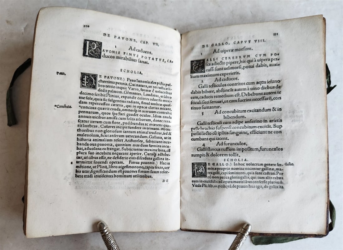 1539 PLATONIC PHILOSOPHY on MEDICINE of BEASTS CATTLE & BIRDS antique 16th CENT. - 7