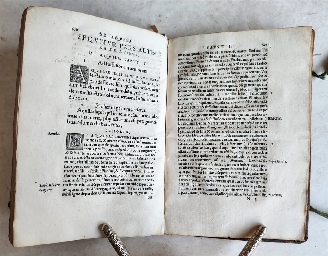 1539 PLATONIC PHILOSOPHY on MEDICINE of BEASTS CATTLE & BIRDS antique 16th CENT. - 8