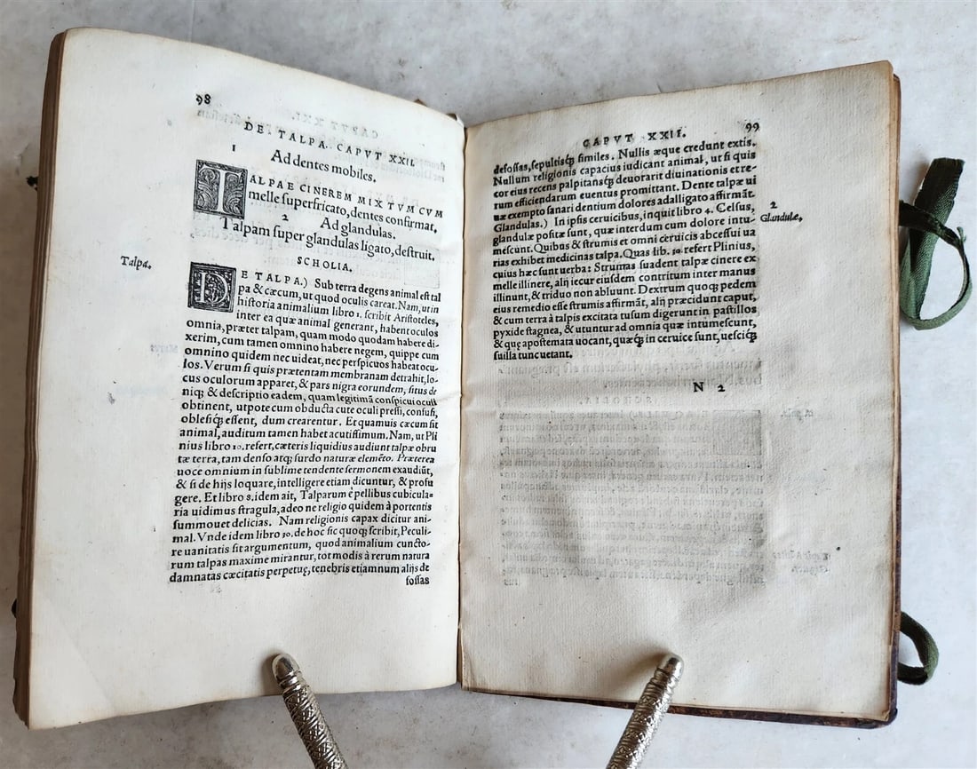 1539 PLATONIC PHILOSOPHY on MEDICINE of BEASTS CATTLE & BIRDS antique 16th CENT. - 9